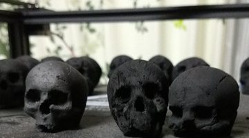 Skull charcoal