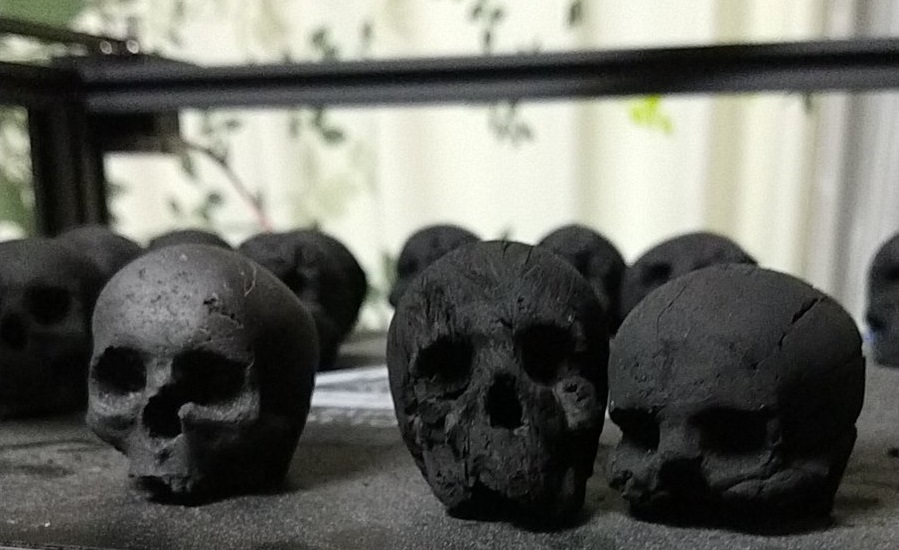 Skull charcoal